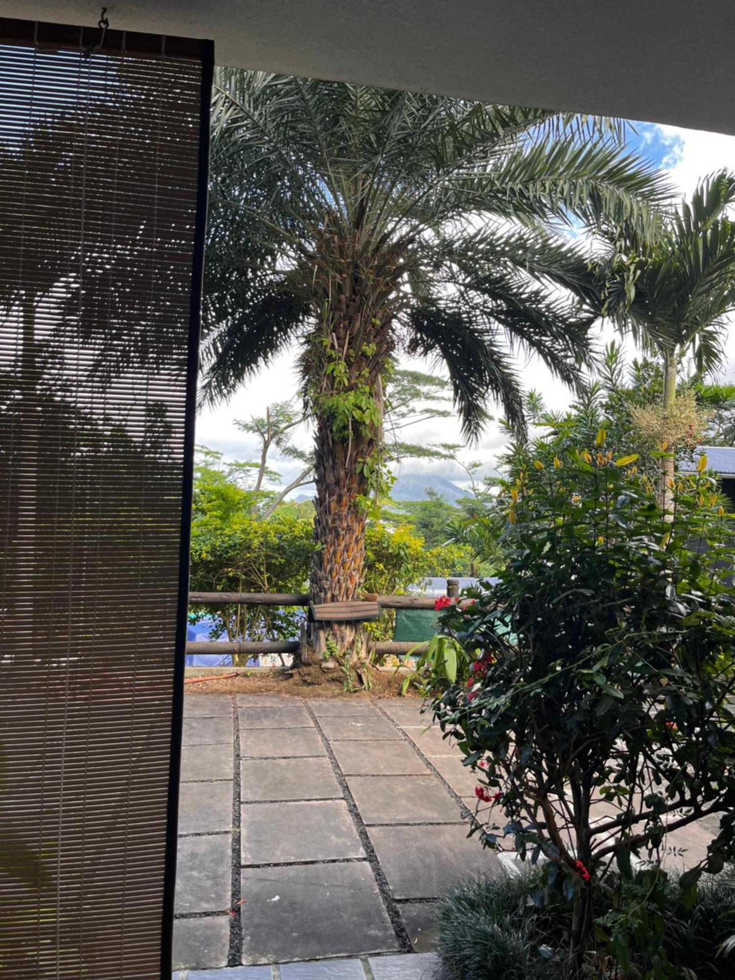 Holiday home Joubarbe