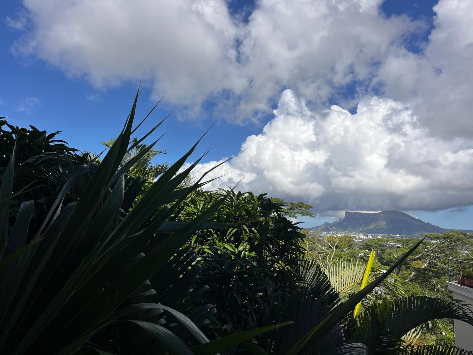 Joubarbe Holiday home